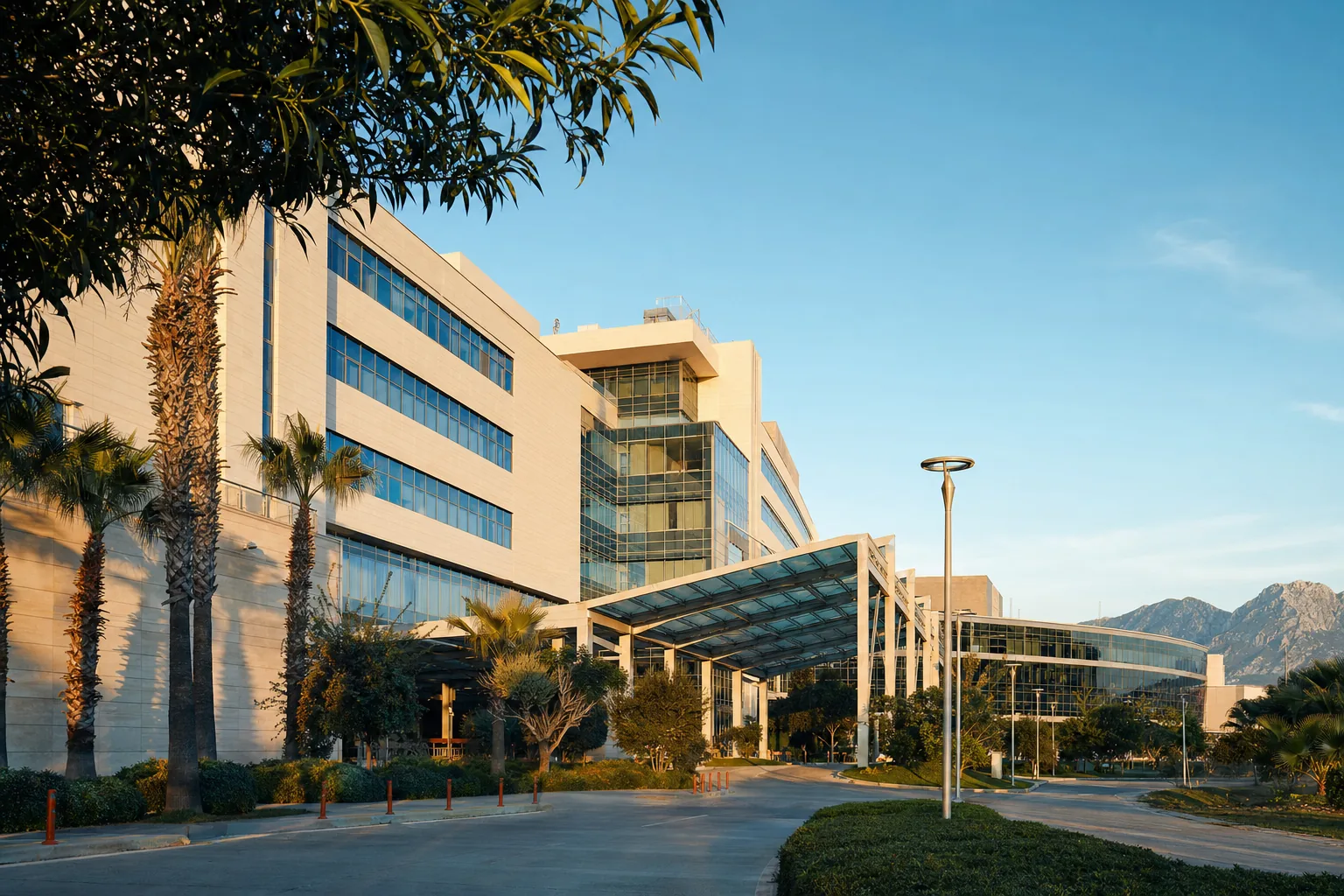 Akdeniz University in Antalya, a BergemHealth partner centre, established Turkey’s first university-based CAR-T and cellular-therapies production centre in 2026.